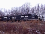 NS 5562